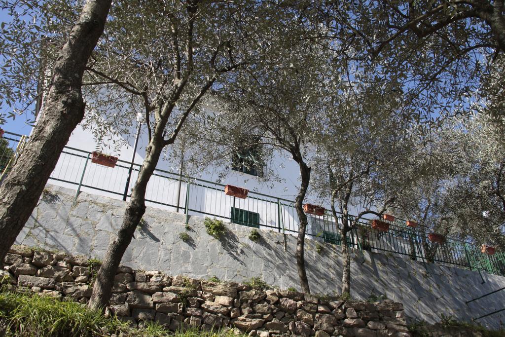 La Spezia Holidays' Rooms Exterior photo